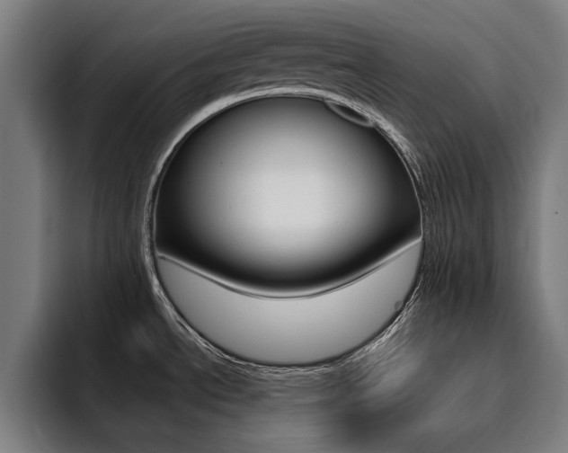 X0000094431534200711081009