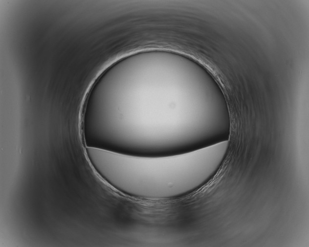 X0000094431535200711081009