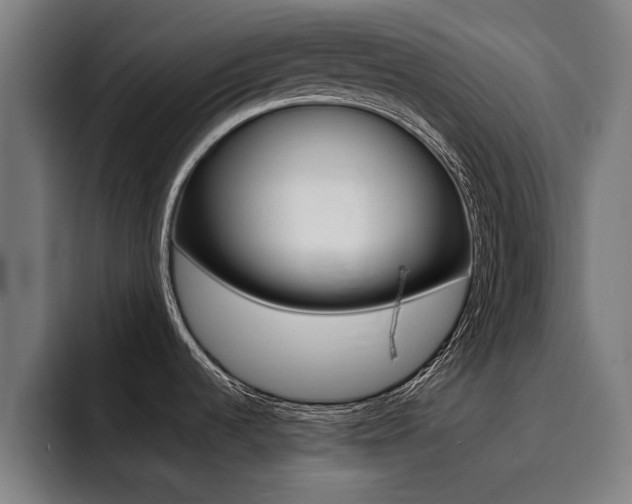 X0000094431536200711081009