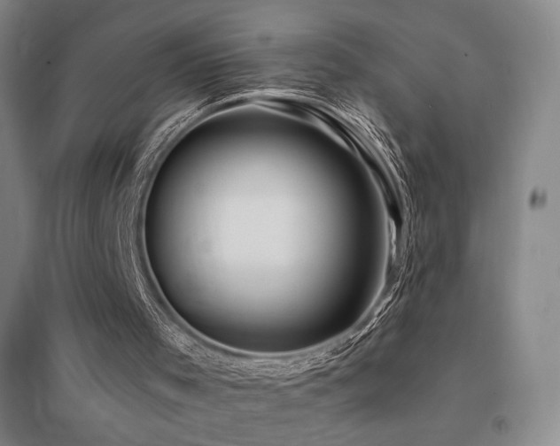 X0000094430001200711081236