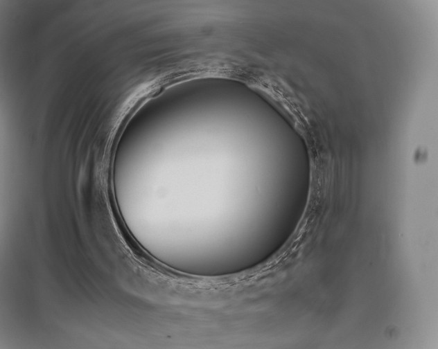 X0000094430003200711081236