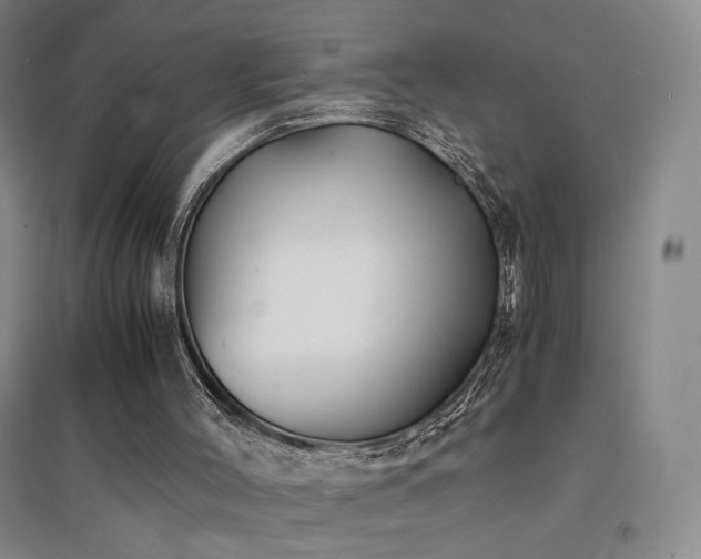 X0000094430004200711081236