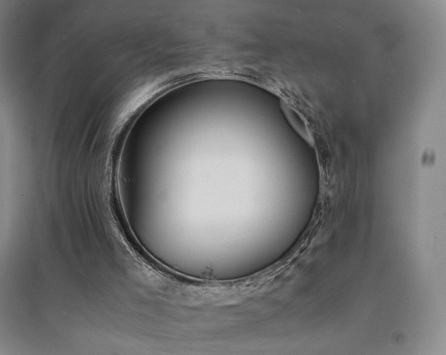 X0000094430005200711081236