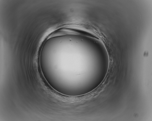 X0000094430006200711081236