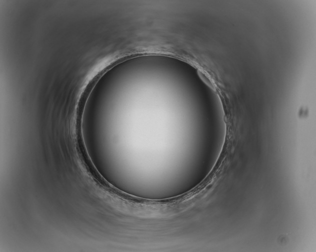 X0000094430008200711081236