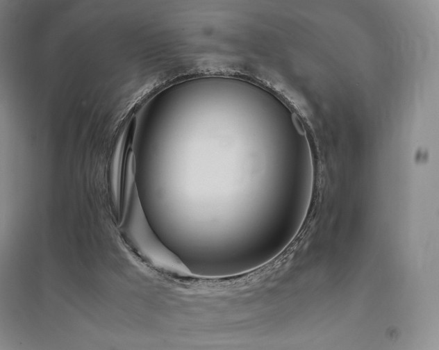 X0000094430009200711081236