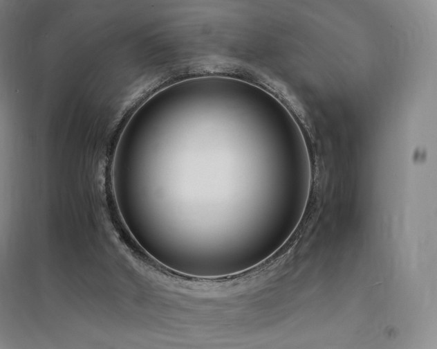X0000094430010200711081236