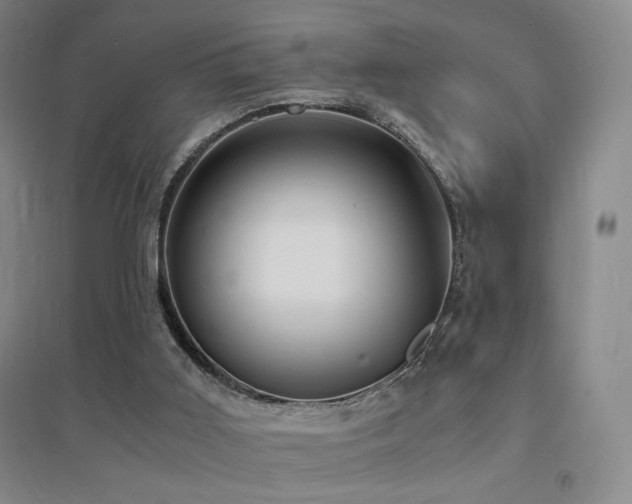 X0000094430011200711081236