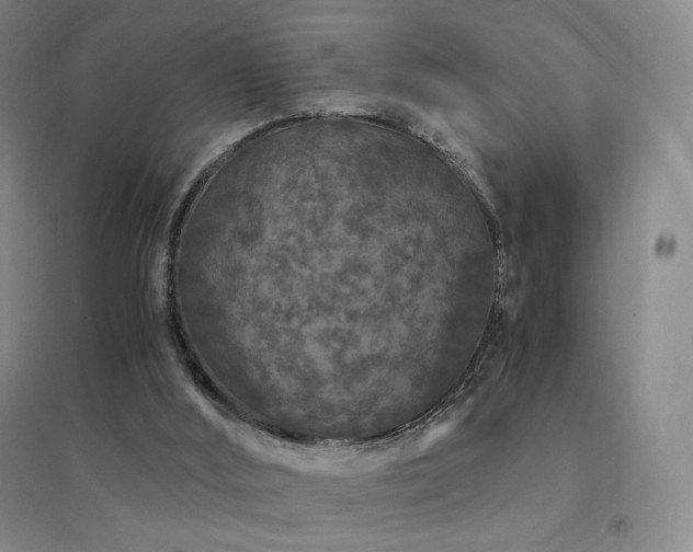 X0000094430012200711081236