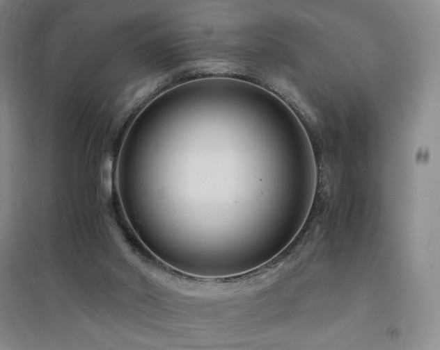 X0000094430014200711081236