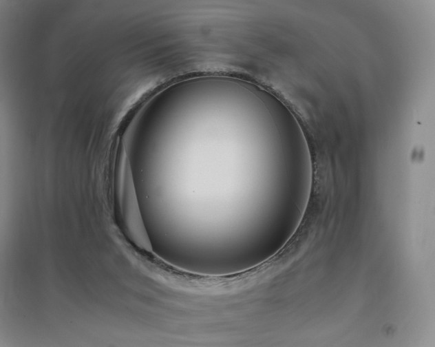 X0000094430015200711081236