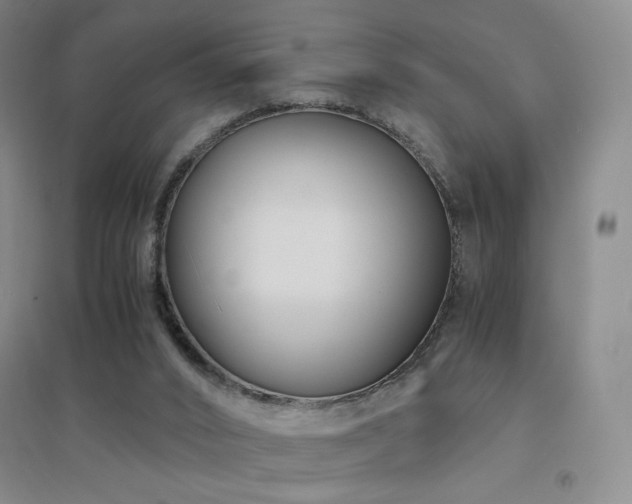 X0000094430016200711081236