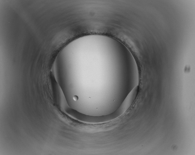 X0000094430017200711081236