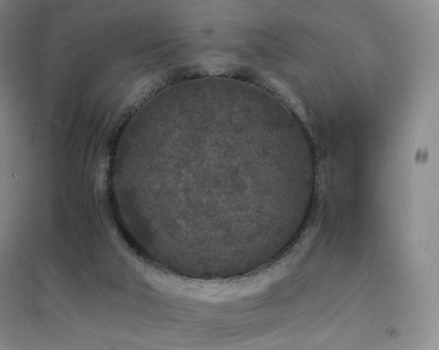 X0000094430018200711081236