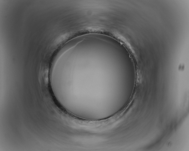 X0000094430019200711081236