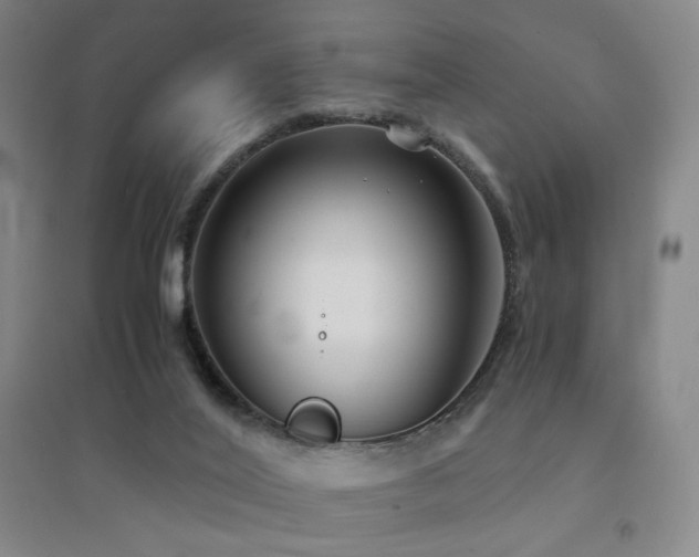 X0000094430020200711081236