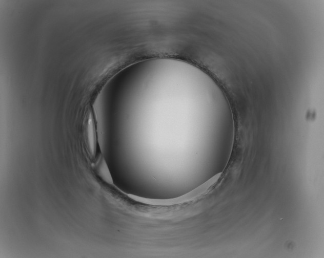 X0000094430021200711081236