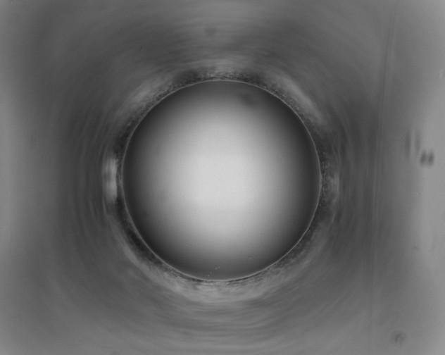 X0000094430022200711081236