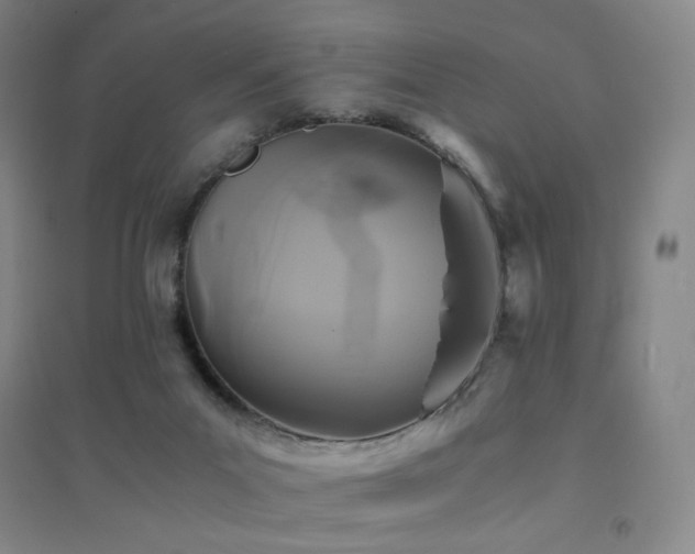 X0000094430023200711081236