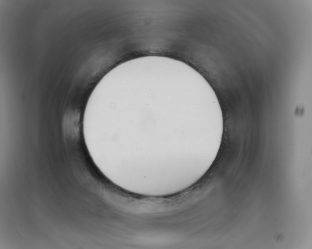 X0000094430024200711081236