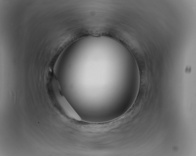 X0000094430025200711081236