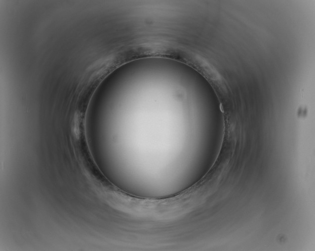 X0000094430026200711081236