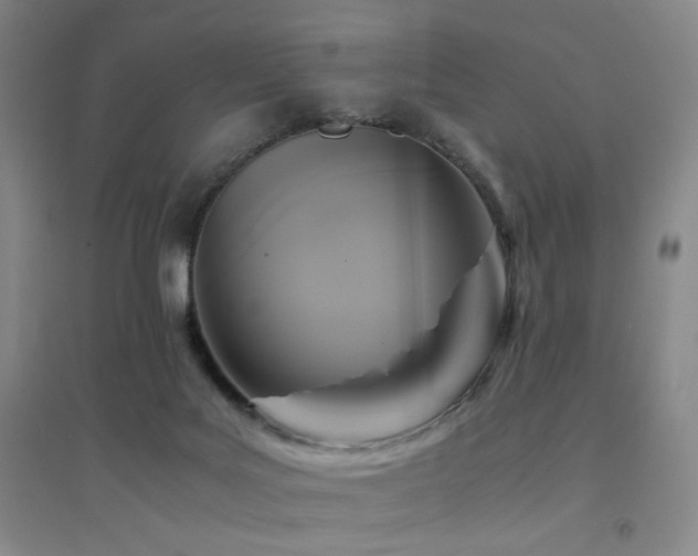 X0000094430027200711081236