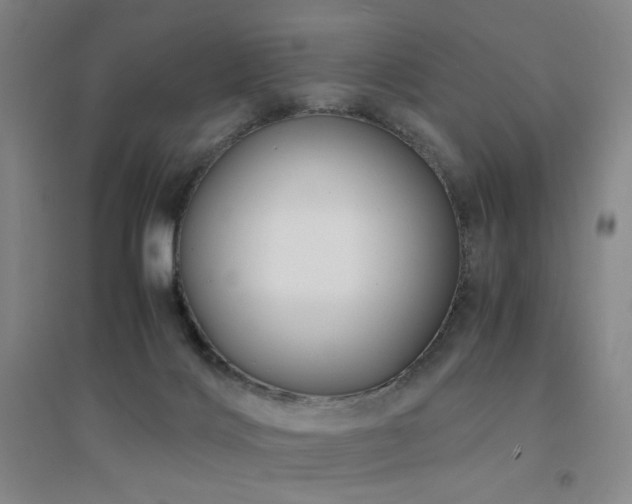 X0000094430028200711081236