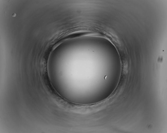 X0000094430029200711081236