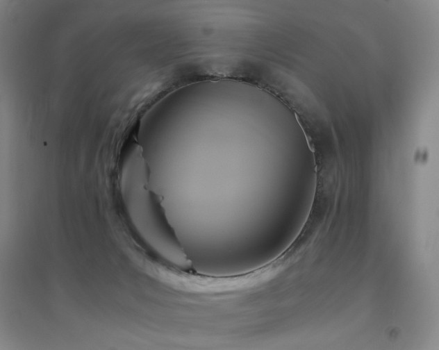 X0000094430031200711081236