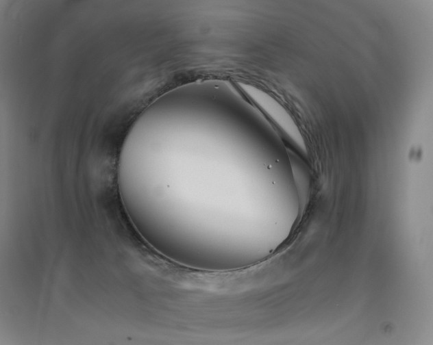 X0000094430033200711081236