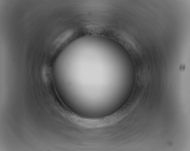 X0000094430034200711081236