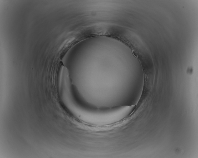 X0000094430035200711081236