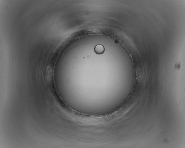 X0000094430036200711081236