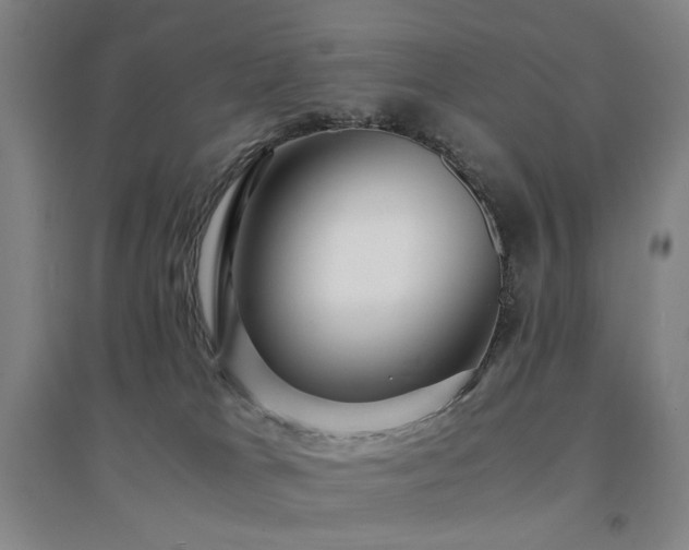 X0000094430037200711081236