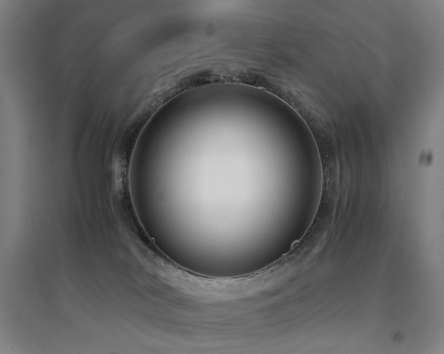 X0000094430038200711081236