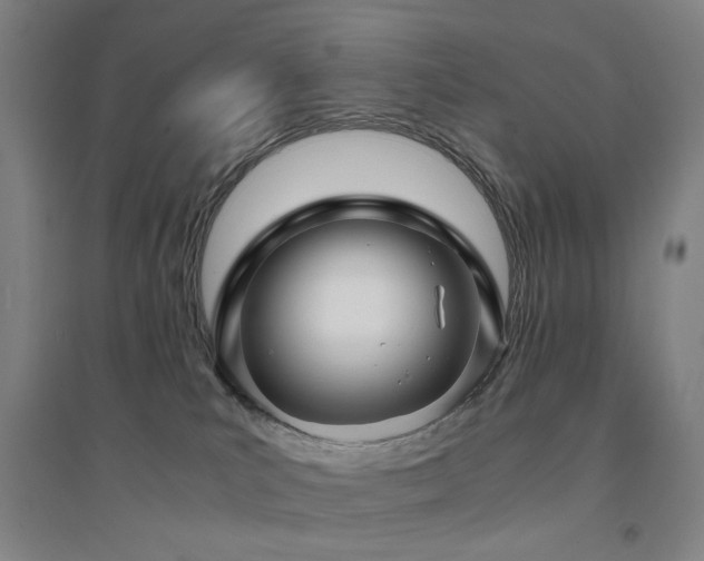 X0000094430039200711081236
