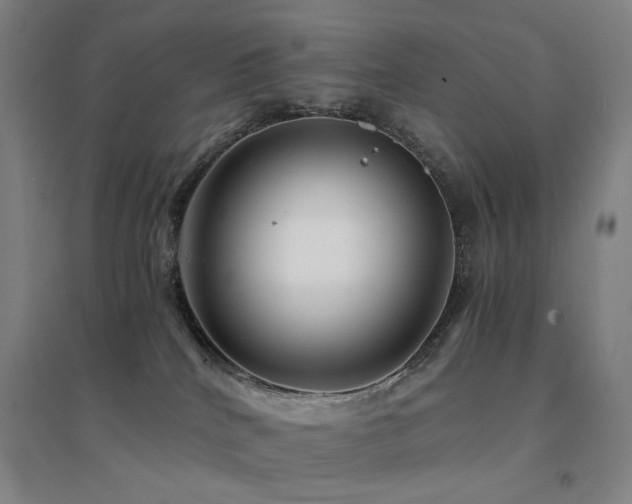 X0000094430040200711081236