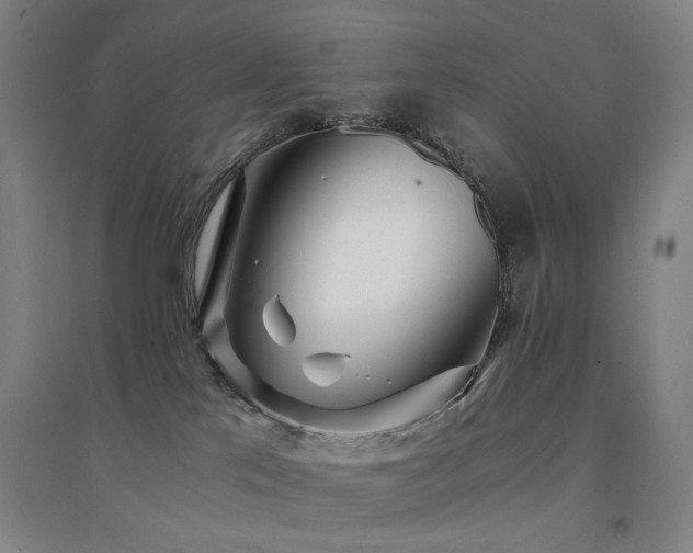 X0000094430041200711081236