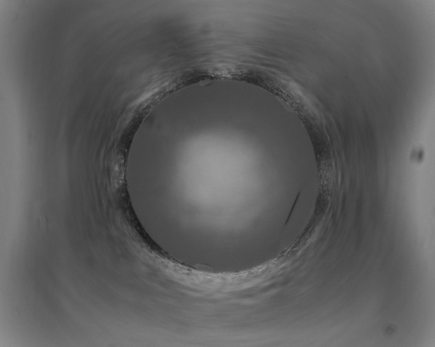 X0000094430043200711081236