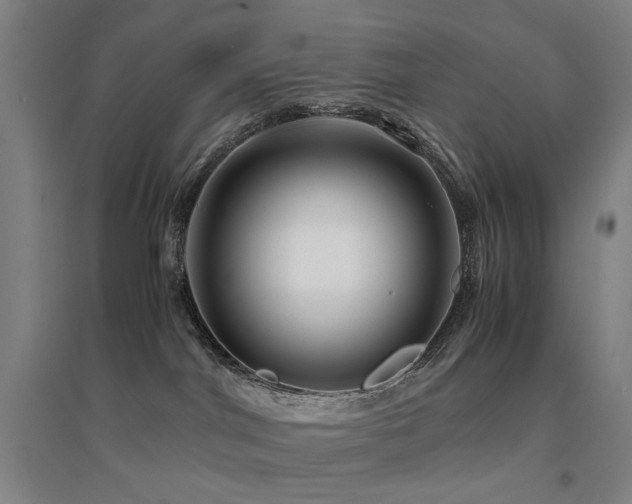 X0000094430044200711081236