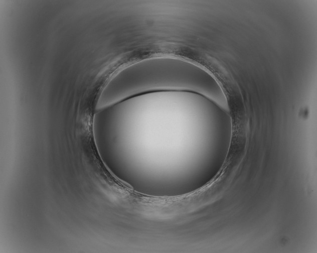 X0000094430045200711081236