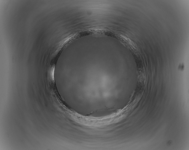 X0000094430047200711081236