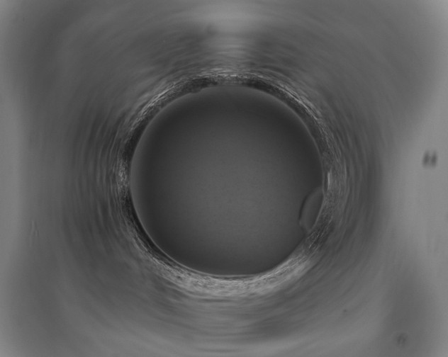 X0000094430048200711081236