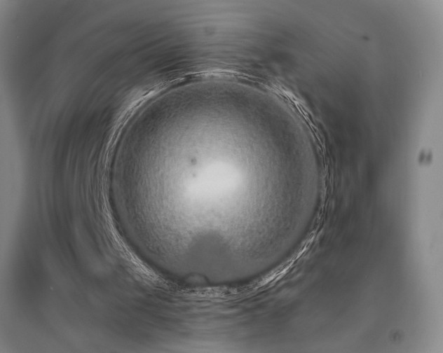 X0000094430049200711081235