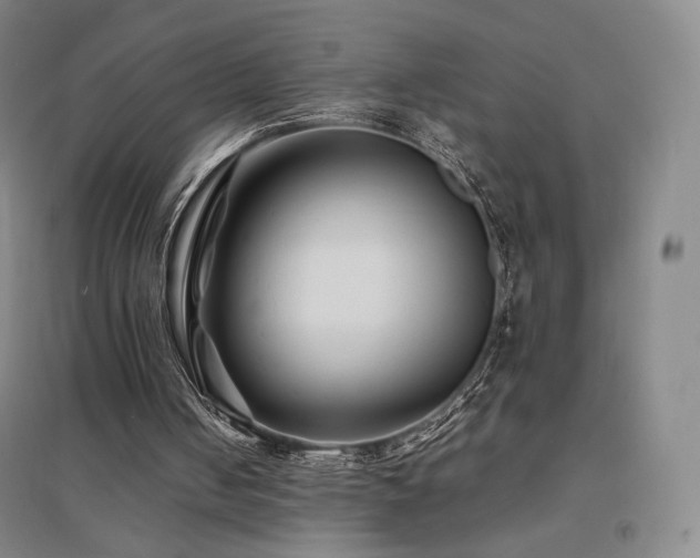 X0000094430050200711081235