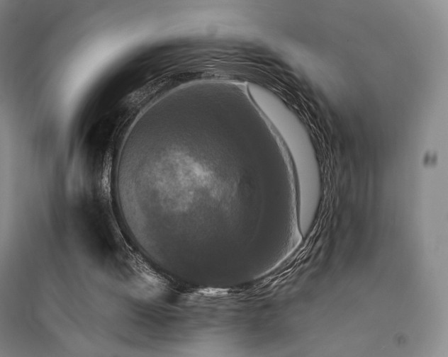 X0000094430052200711081235