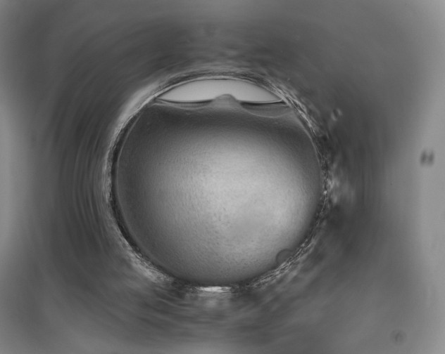 X0000094430053200711081235