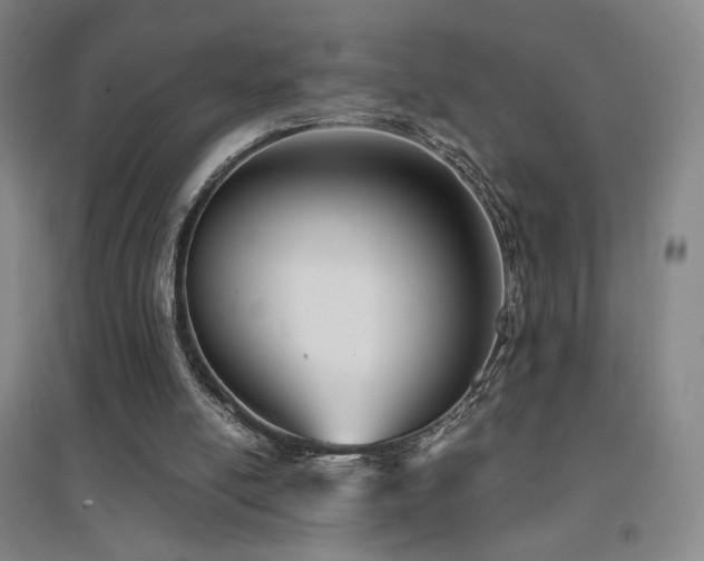 X0000094430054200711081235