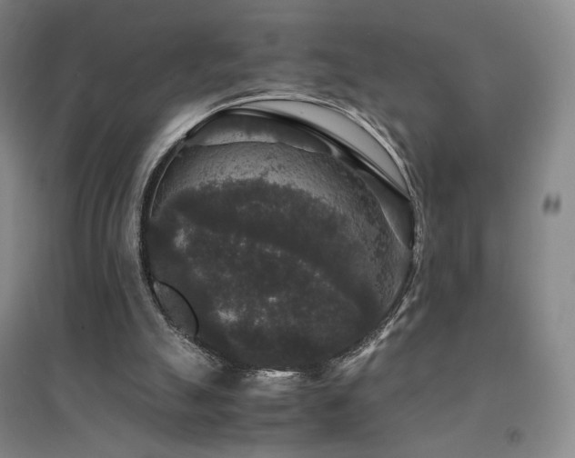 X0000094430055200711081235